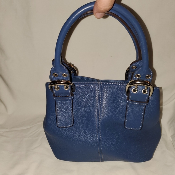 Tignanello Handbags - Tignanello Perfect 10 French Tote small purse fall